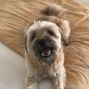 Meet your Posher, Susan